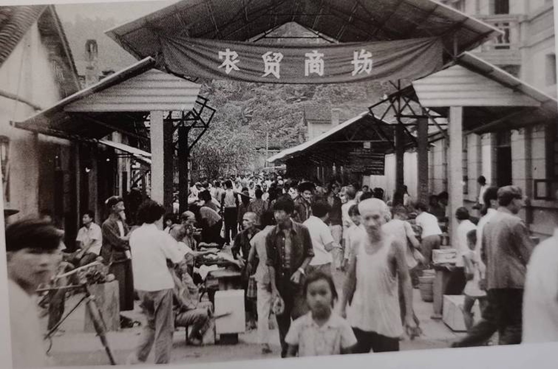 康安数码商城